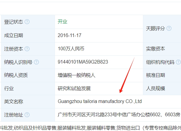 怎么找到中国国内公司的海外官网或独立站网址？